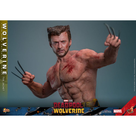 Hot Toys Marvel Deadpool & Wolverine - Wolverine Giacca TVA Versione MMS 1/6