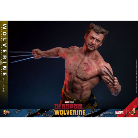 Hot Toys Marvel Deadpool & Wolverine - Wolverine Giacca TVA Versione MMS 1/6