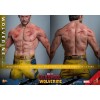 Hot Toys Marvel Deadpool & Wolverine - Wolverine Giacca TVA Versione MMS 1/6