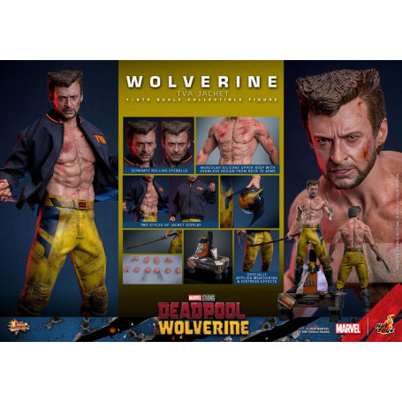 Hot Toys Marvel Deadpool & Wolverine - Wolverine Giacca TVA Versione MMS 1/6
