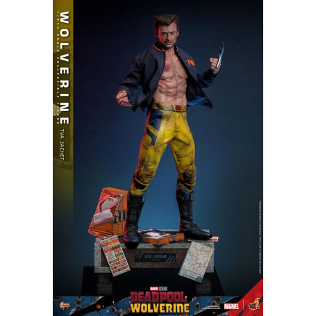 Hot Toys Marvel Deadpool & Wolverine - Wolverine Giacca TVA Versione MMS 1/6