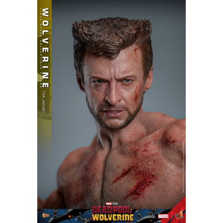 Hot Toys Marvel Deadpool & Wolverine - Wolverine Giacca TVA Versione MMS 1/6