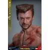 Hot Toys Marvel Deadpool & Wolverine - Wolverine Giacca TVA Versione MMS 1/6
