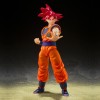 Nazioni Tamashii - DB Super - SUPER SAIYAN GOD SON GOKU - Dio Saiyan della Virtù - SHF SHFiguarts