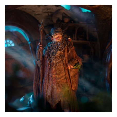 Weta - Radagast a Rhosgobel Edizione limitata - Statuetta de Il Signore degli Anelli 1/6