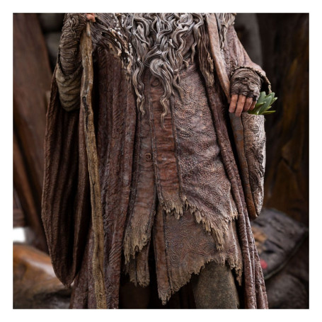 Weta - Radagast a Rhosgobel Edizione limitata - Statuetta de Il Signore degli Anelli 1/6