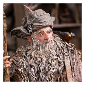 Weta - Radagast a Rhosgobel Edizione limitata - Statuetta de Il Signore degli Anelli 1/6