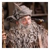 Weta - Radagast a Rhosgobel Edizione limitata - Statuetta de Il Signore degli Anelli 1/6