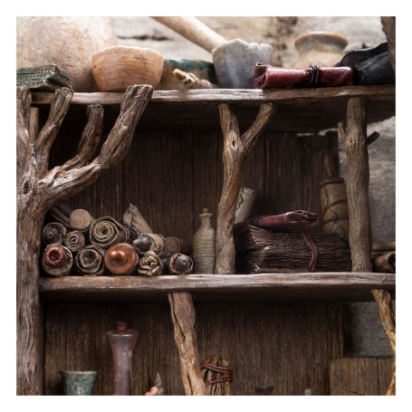 Weta - Radagast a Rhosgobel Edizione limitata - Statuetta de Il Signore degli Anelli 1/6