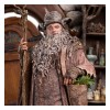 Weta - Radagast a Rhosgobel Edizione limitata - Statuetta de Il Signore degli Anelli 1/6