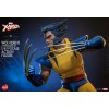 Hot Toys/Hono Studio - Marvel X-Men - Wolverine Smascherato 1/6
