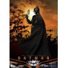 Regno delle bestie - Batman Begins - Eroi dinamici d'azione 1/9
