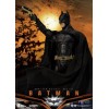 Regno delle bestie - Batman Begins - Eroi dinamici d'azione 1/9