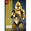Hot toys Star Wars - Clone Trooper Versione Oro Cromo 1/6 Esclusiva della Fiera del Giocattolo