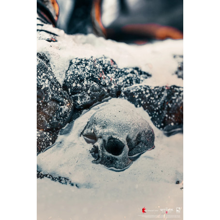 Pure Arts - The Witcher 3: Wild Hunt - Diorama del cacciatore selvaggio 1/6