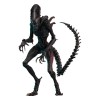 Hot Toys - Alien Romulus - Xenomorfo bruciato MMS 1/6