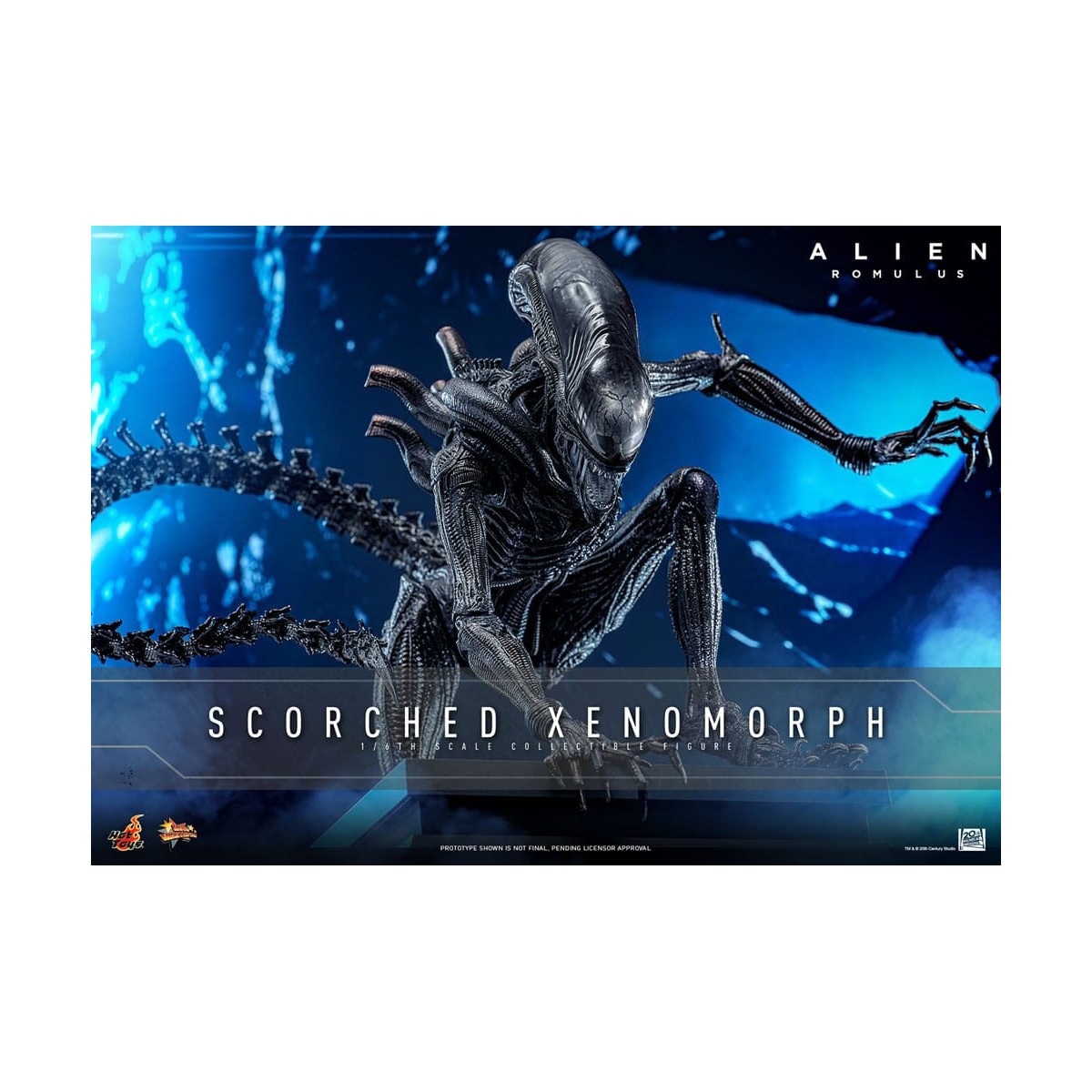 Hot Toys - Alien Romulus - Xenomorfo bruciato MMS 1/6