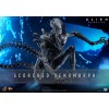 Hot Toys - Alien Romulus - Xenomorfo bruciato MMS 1/6
