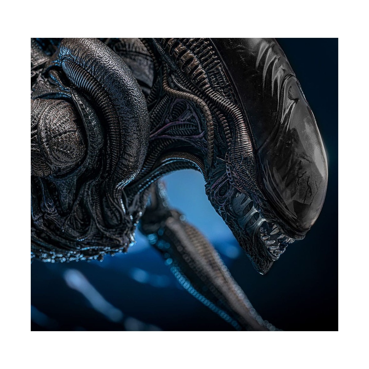 Hot Toys - Alien Romulus - Xenomorfo bruciato MMS 1/6