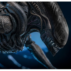 Hot Toys - Alien Romulus - Xenomorfo bruciato MMS 1/6
