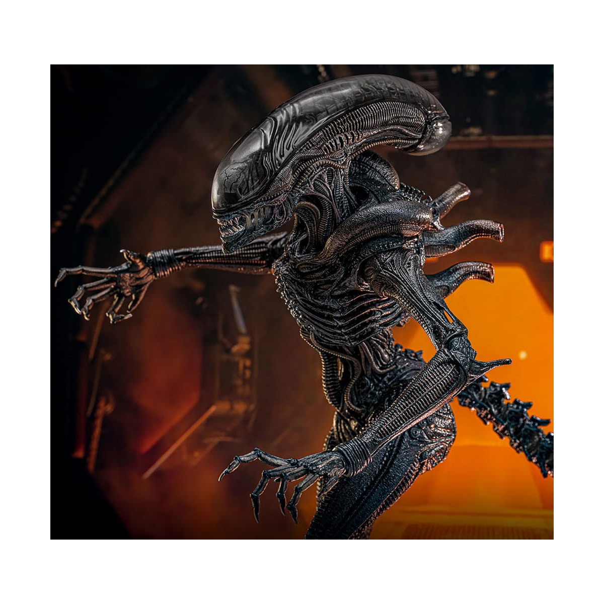 Hot Toys - Alien Romulus - Xenomorfo bruciato MMS 1/6