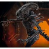 Hot Toys - Alien Romulus - Xenomorfo bruciato MMS 1/6