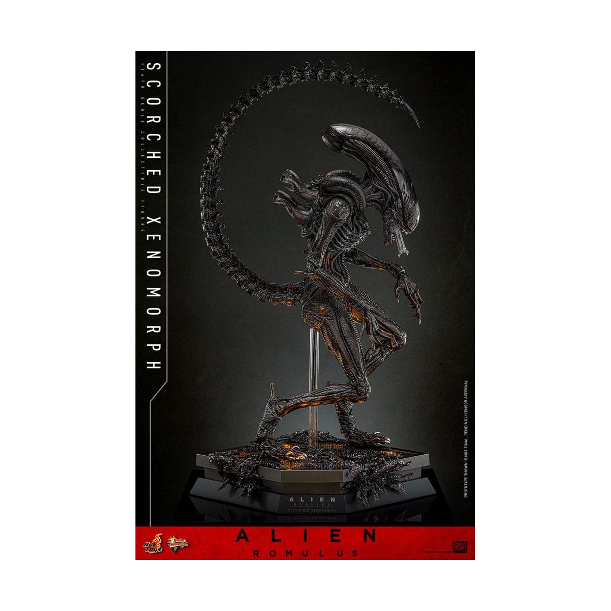 Hot Toys - Alien Romulus - Xenomorfo bruciato MMS 1/6