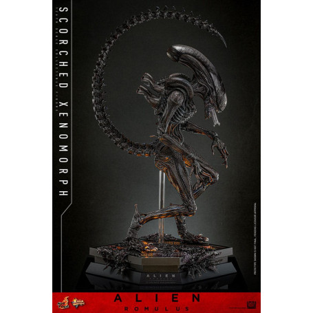Hot Toys - Alien Romulus - Xenomorfo bruciato MMS 1/6