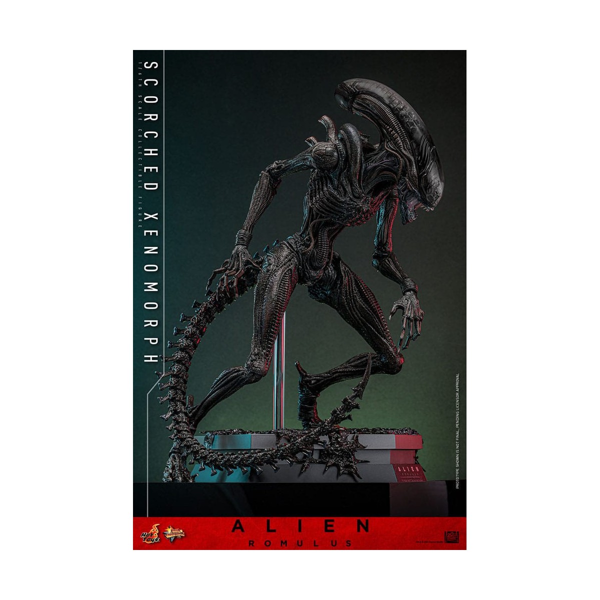 Hot Toys - Alien Romulus - Xenomorfo bruciato MMS 1/6