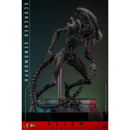Hot Toys - Alien Romulus - Xenomorfo bruciato MMS 1/6