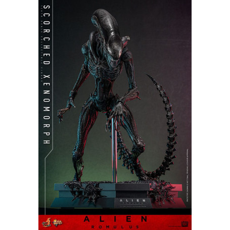 Hot Toys - Alien Romulus - Xenomorfo bruciato MMS 1/6