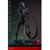 Hot Toys - Alien Romulus - Xenomorfo bruciato MMS 1/6