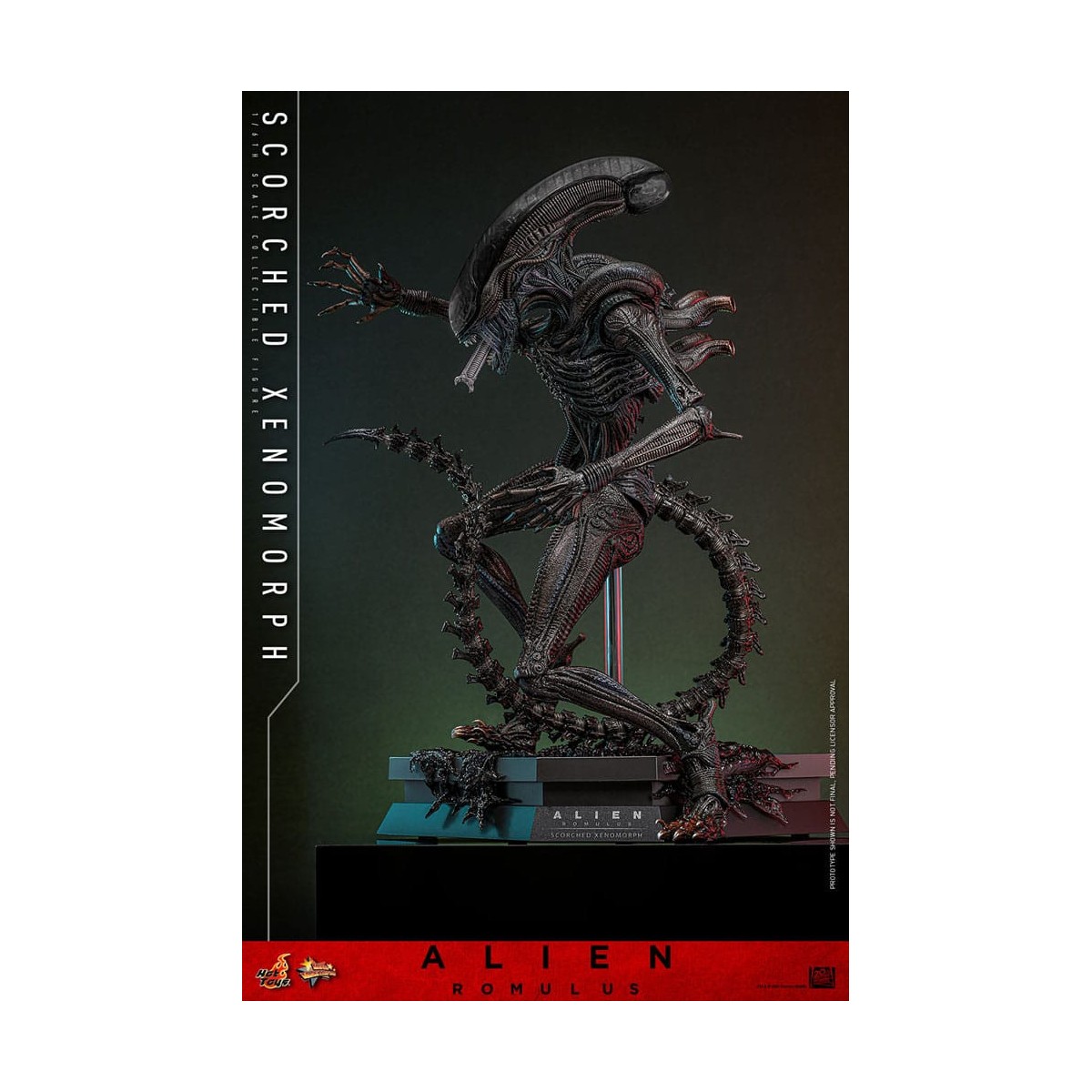 Hot Toys - Alien Romulus - Xenomorfo bruciato MMS 1/6