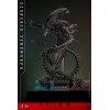 Hot Toys - Alien Romulus - Xenomorfo bruciato MMS 1/6