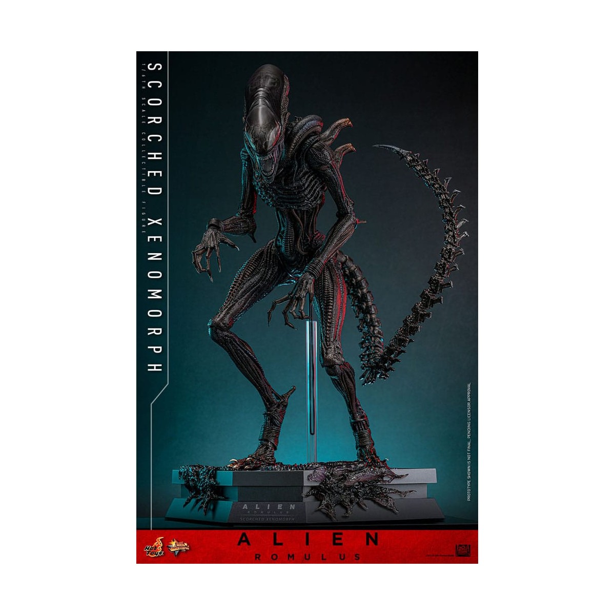 Hot Toys - Alien Romulus - Xenomorfo bruciato MMS 1/6