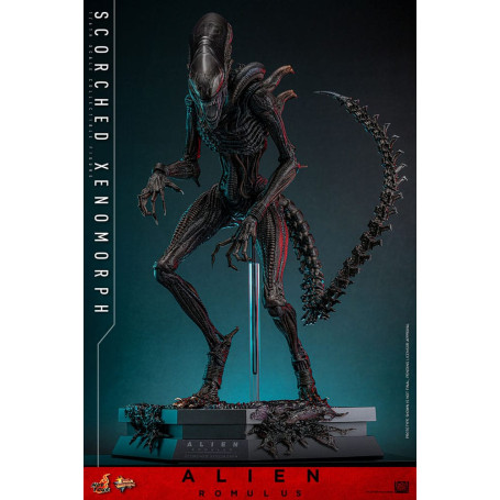 Hot Toys - Alien Romulus - Xenomorfo bruciato MMS 1/6