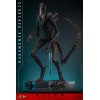 Hot Toys - Alien Romulus - Xenomorfo bruciato MMS 1/6