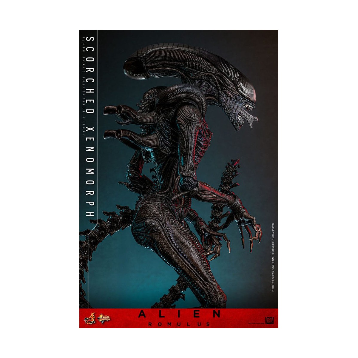 Hot Toys - Alien Romulus - Xenomorfo bruciato MMS 1/6