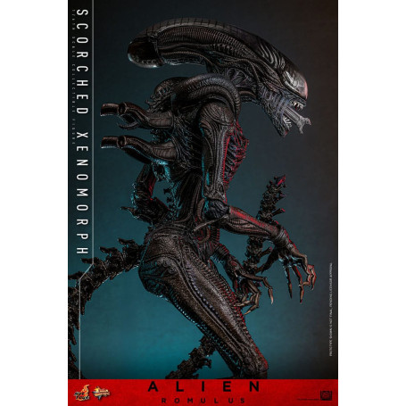 Hot Toys - Alien Romulus - Xenomorfo bruciato MMS 1/6