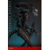 Hot Toys - Alien Romulus - Xenomorfo bruciato MMS 1/6
