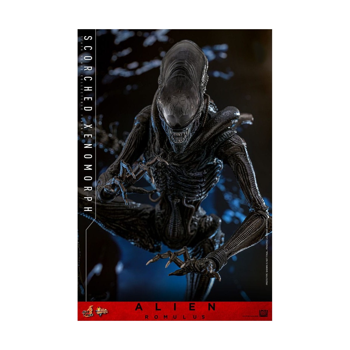 Hot Toys - Alien Romulus - Xenomorfo bruciato MMS 1/6