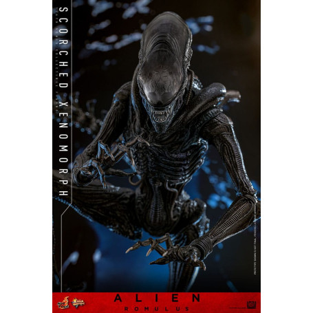 Hot Toys - Alien Romulus - Xenomorfo bruciato MMS 1/6