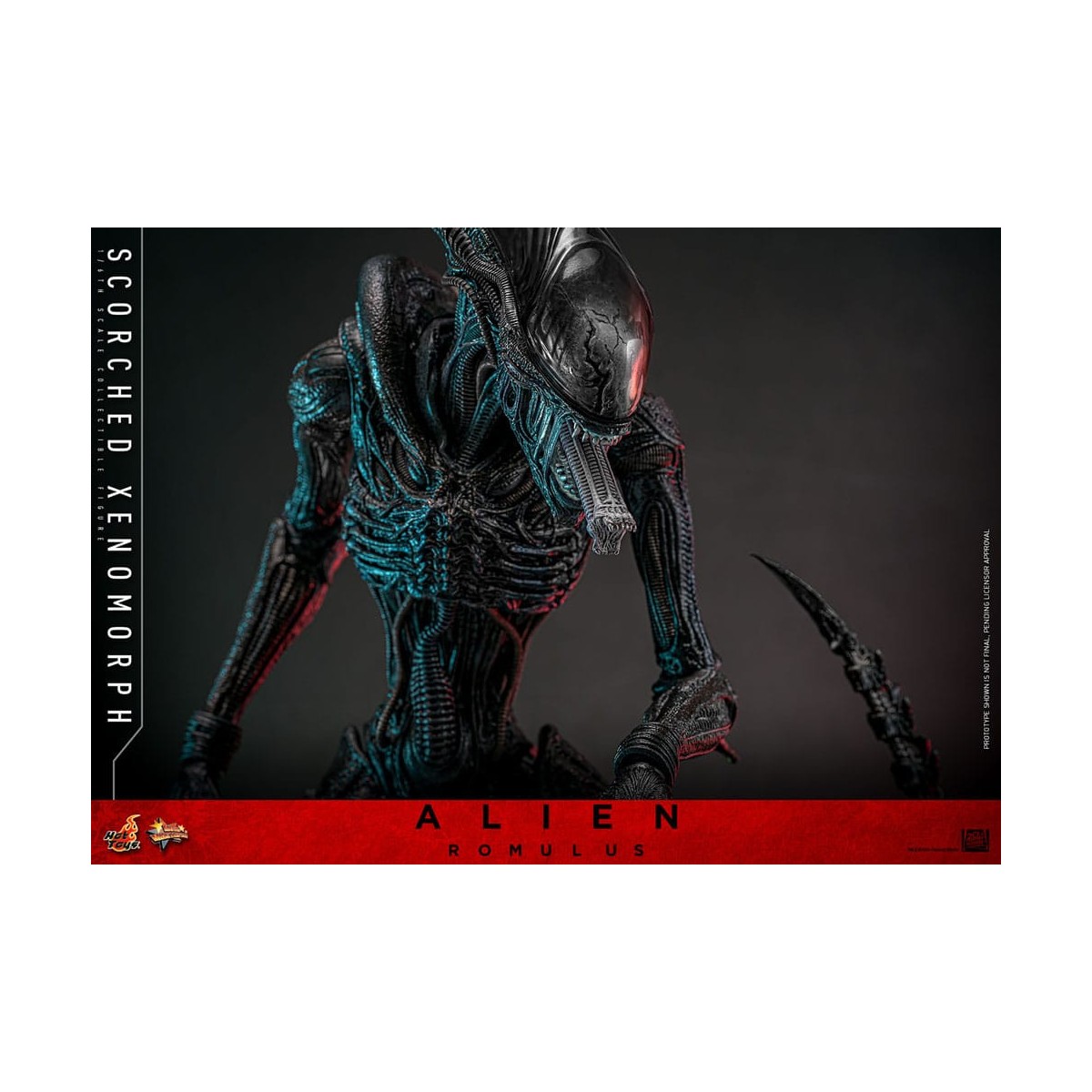 Hot Toys - Alien Romulus - Xenomorfo bruciato MMS 1/6