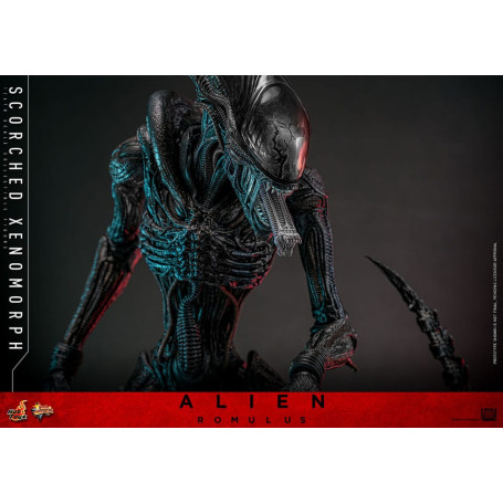 Hot Toys - Alien Romulus - Xenomorfo bruciato MMS 1/6