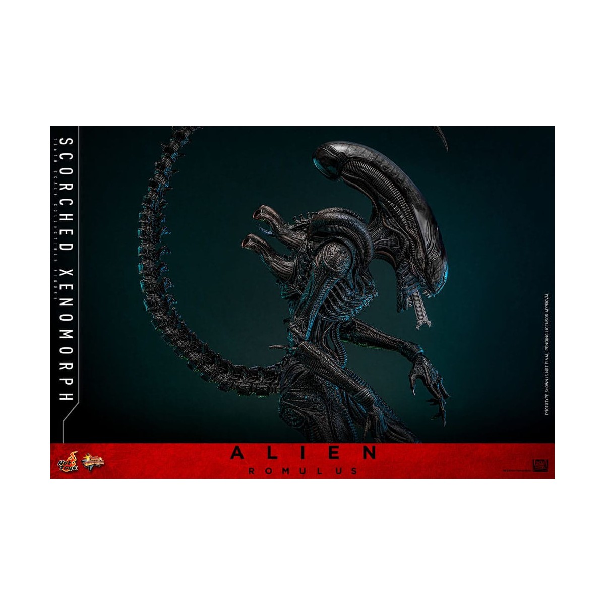 Hot Toys - Alien Romulus - Xenomorfo bruciato MMS 1/6