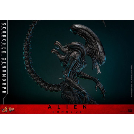 Hot Toys - Alien Romulus - Xenomorfo bruciato MMS 1/6