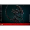 Hot Toys - Alien Romulus - Xenomorfo bruciato MMS 1/6
