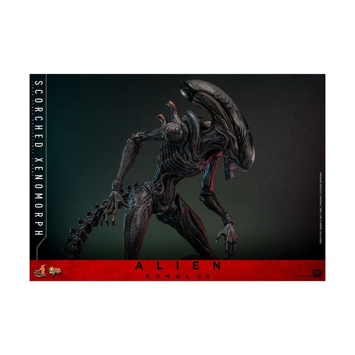 Hot Toys - Alien Romulus - Xenomorfo bruciato MMS 1/6