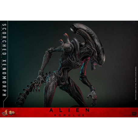 Hot Toys - Alien Romulus - Xenomorfo bruciato MMS 1/6