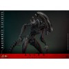 Hot Toys - Alien Romulus - Xenomorfo bruciato MMS 1/6